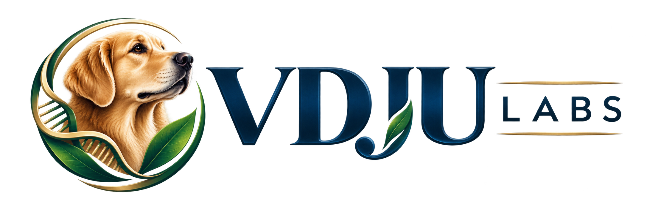 VDJU LABS