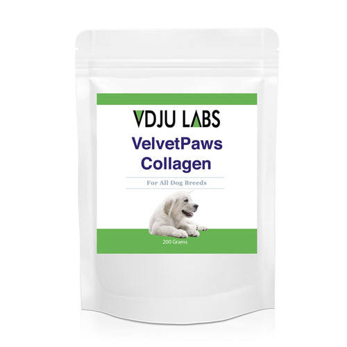 Collagen for Dogs – Beef Powder