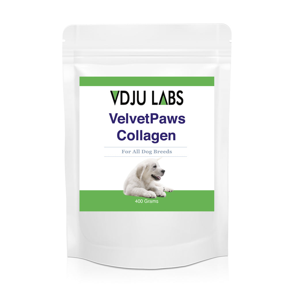 Collagen for Dogs – Beef Powder